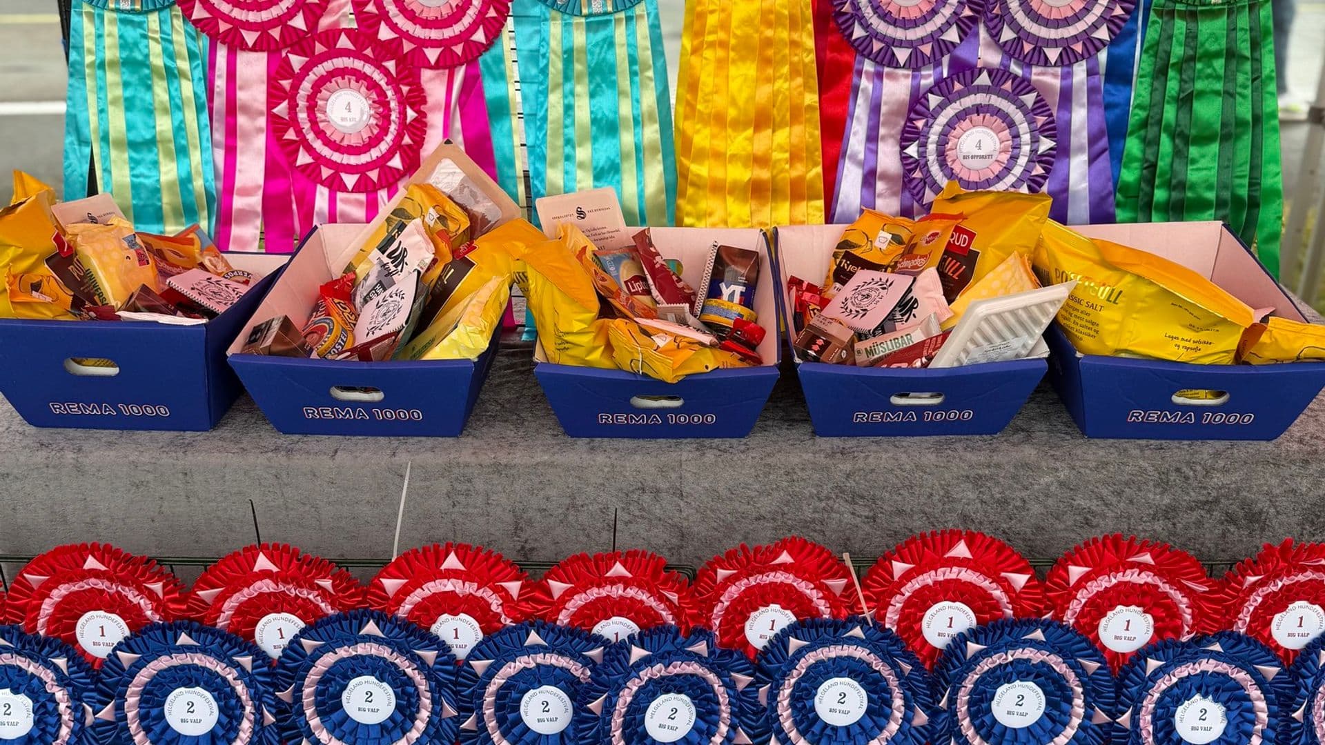 Helgeland Hundefestival 2026